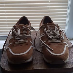 Mens UGG shoes low top